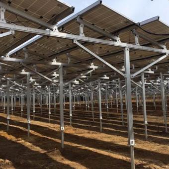 Pemasok sistem pemasangan tenaga surya pertanian